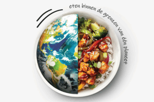 Artikel- Greendish